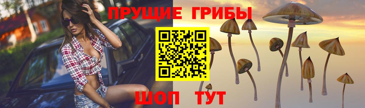Михайловск  Псилоцибиновые грибы мухоморы  Вход с VPN 